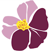Prairie Rose Family Dentists Mandan Office Dental Implant