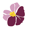 Prairie Rose Family Dentists North Office Dental Implant