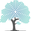 Raleigh Oral Surgery & Dental Implants Dental Implant